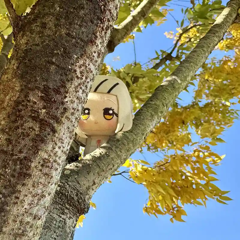あわい
