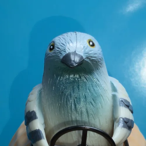 鳩