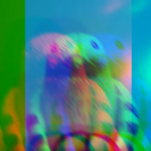鳩